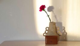 porte cartes en cuir, simili cuir