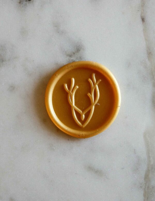 A9zm12x5_1obgnnh_9fo