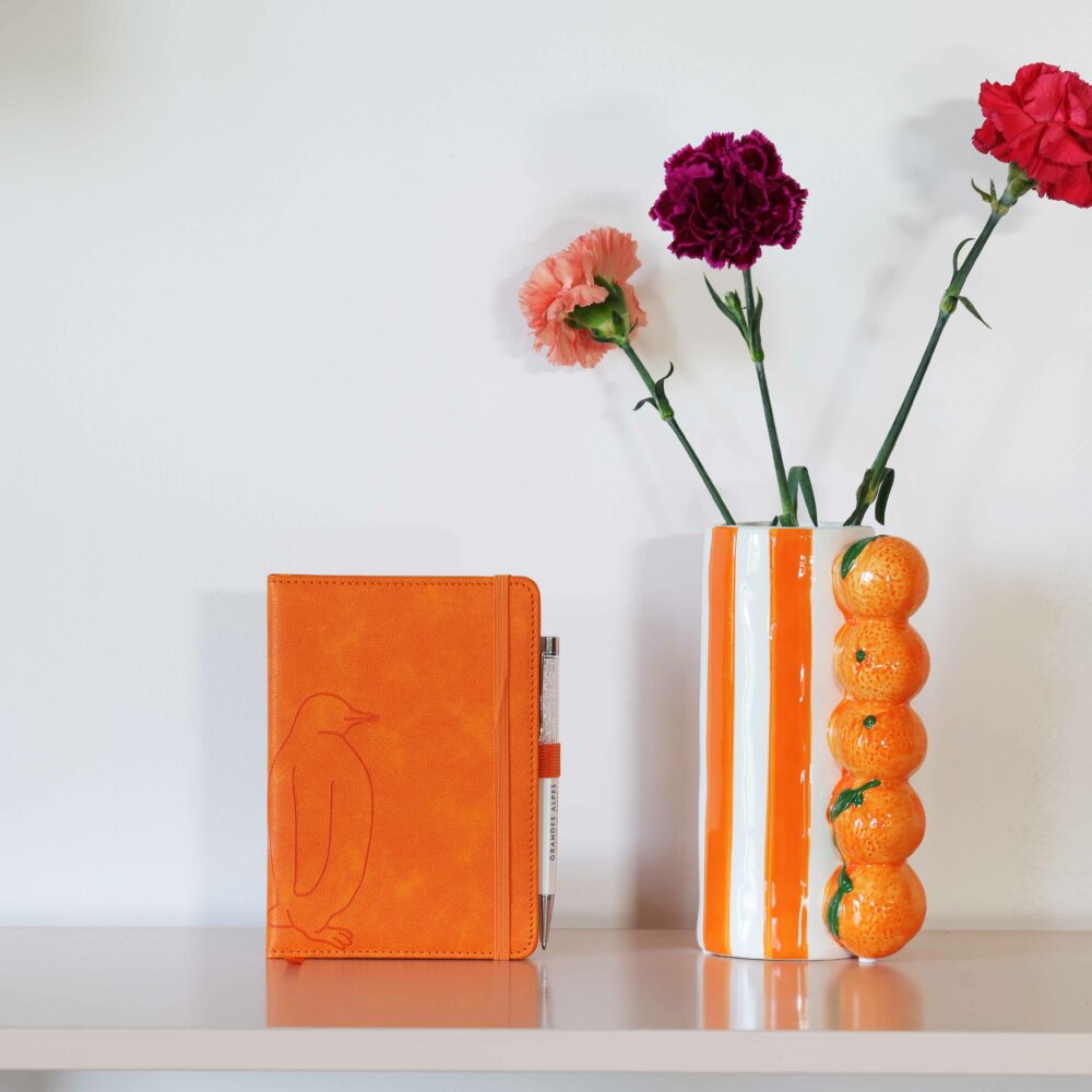 CARNET CUIR SIMILI CUIR